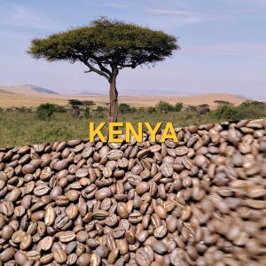 Kenya Mont Kenya